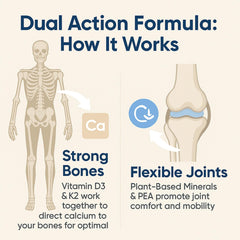 Marine algae–based mineral complex supporting bone density and skeletal health.