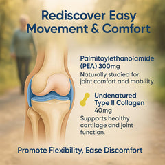 Undenatured type II collagen supporting cartilage and connective tissue health.
