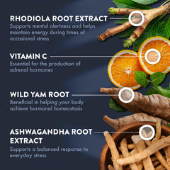 Rhodiola rosea extract for cortisol management
