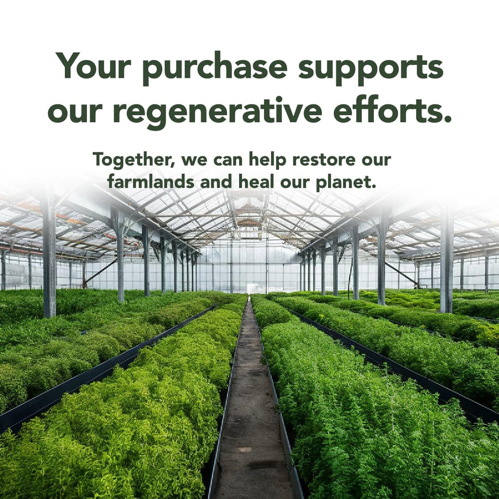 Rigma Herbal BEE ingredients list hints at natural gut-soothing components.