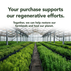 Rigma Herbal BEE ingredients list hints at natural gut-soothing components.