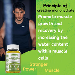 Nutrition panel highlighting 5 g of creatine per serving