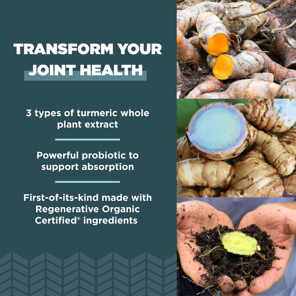 ROC turmeric ingredients image showing triple turmeric extracts
