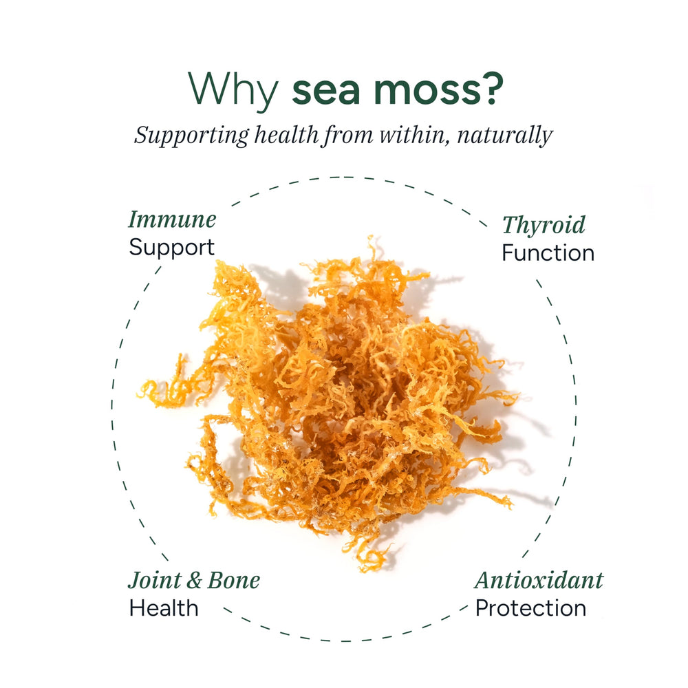 Close-up of Ashwagandha and KSM-66 blend with Sea Moss gummies