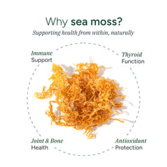 Close-up of Ashwagandha and KSM-66 blend with Sea Moss gummies