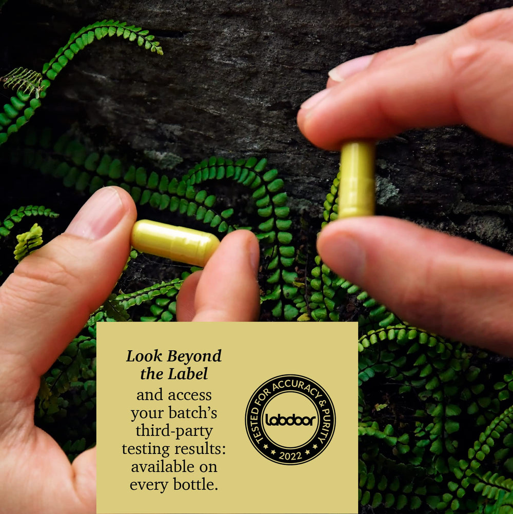 Certificate of Analysis and third-party testing documents for Rootcha Quercetin with Bromelain