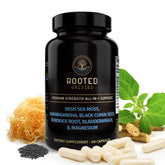 Product main image showing Rooted Origins Sea Moss Capsules with Irish Sea Moss blend