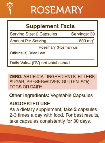 Close-up view of rosemary capsules