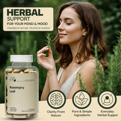 Herbal supplement bottle arranged with wellness props