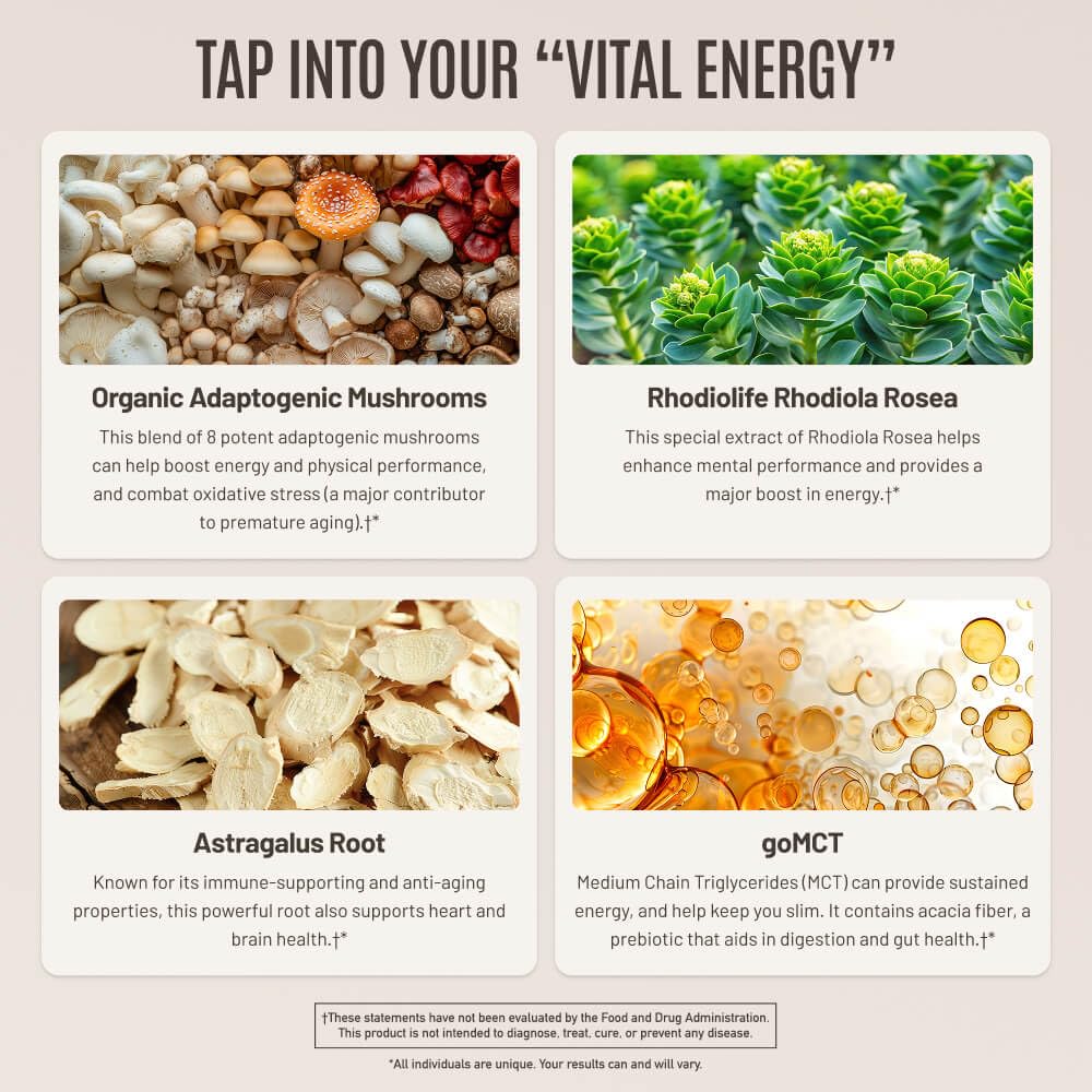 Astragalus root supplement image