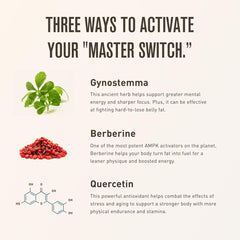 Gynostemma herb close-up