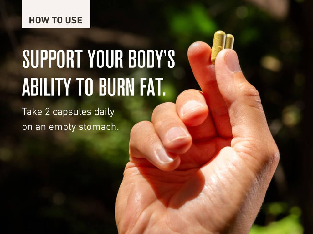 ROUNDHOUSE PROVISION Three Hit Combo packaging with 60 capsules