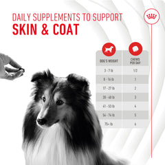 Bottle of Royal Canin Skin & Coat Soft Chews