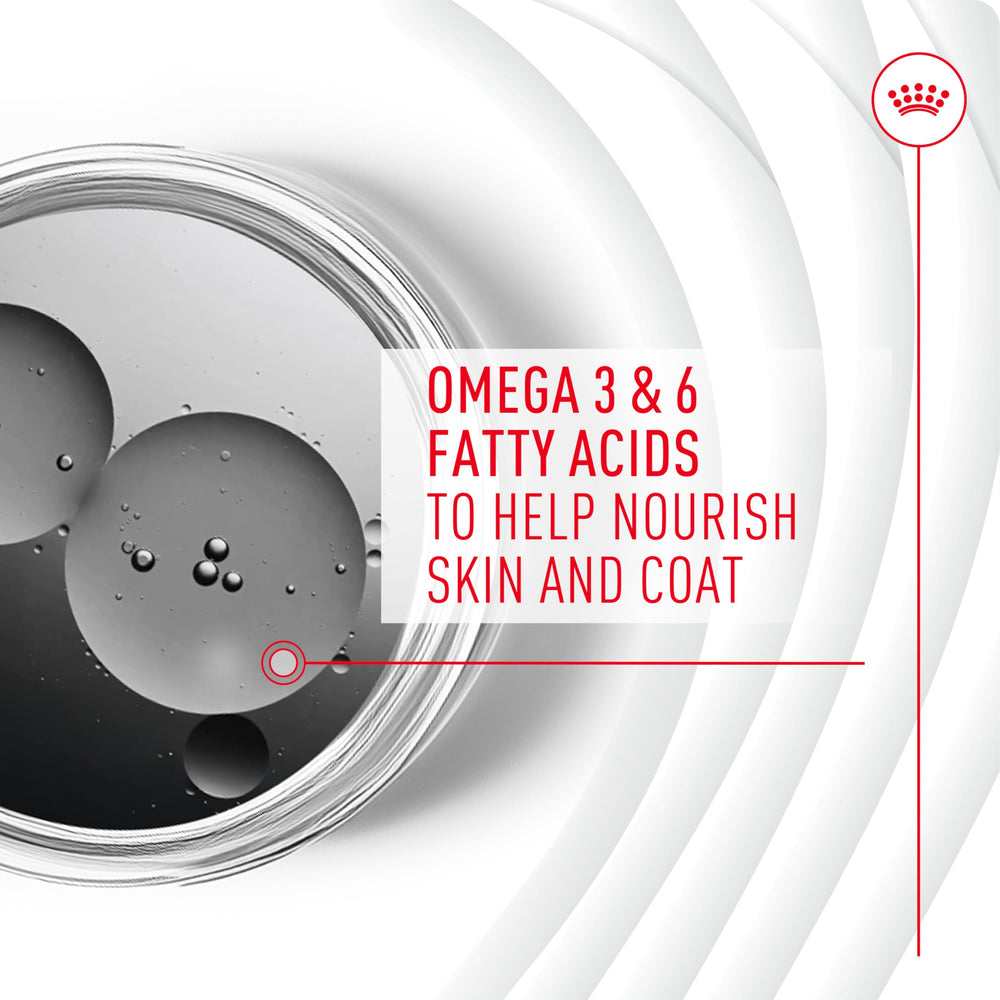 Soft chew supplement ingredients for Royal Canin Skin & Coat