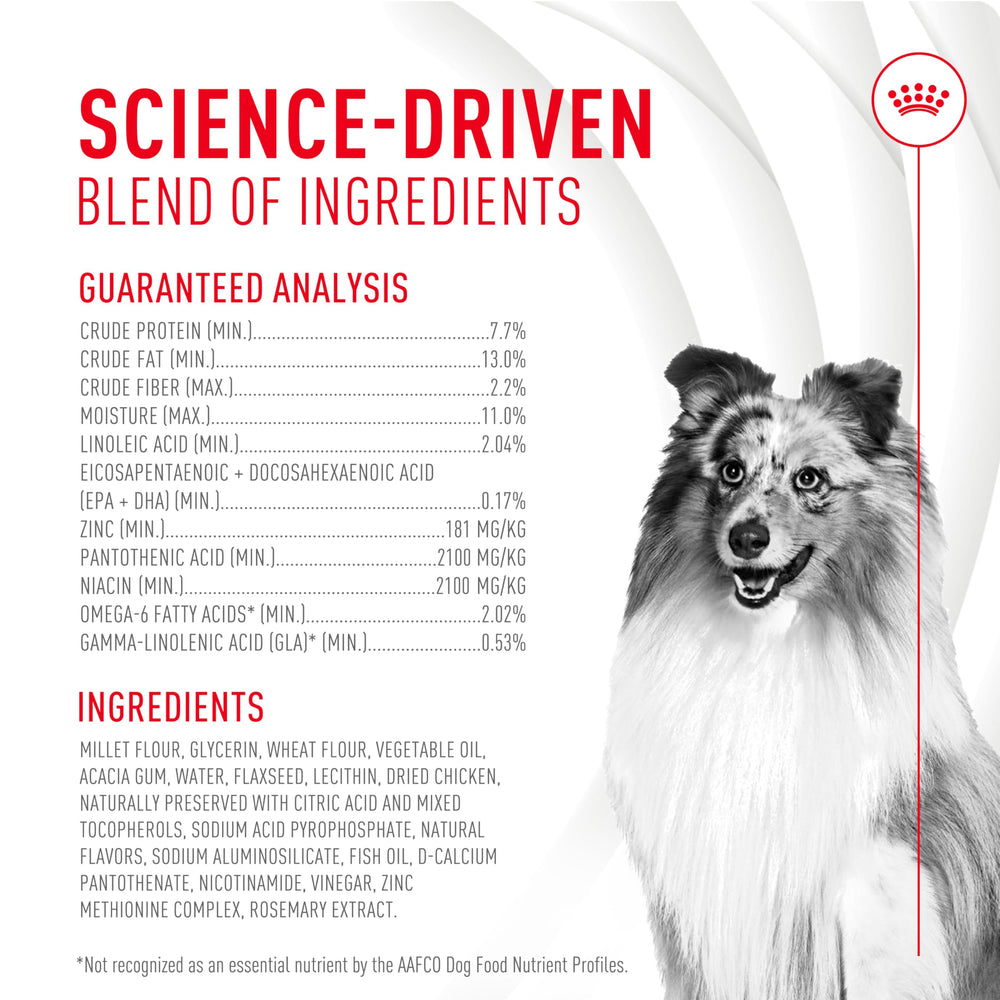 Healthy-looking dog with shiny coat and soft chews