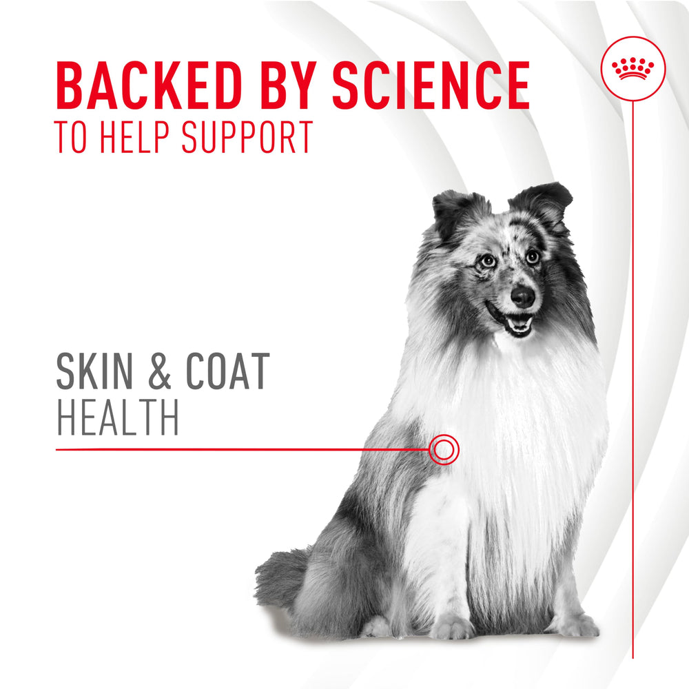 Packaging for Royal Canin Skin & Coat Soft Chews dog supplement