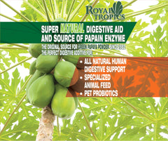 Front label of Royal Tropics Green Papaya Powder