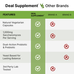 Healthy gut illustration representing probiotic and prebiotic support