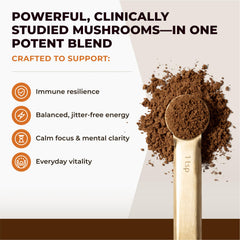 Seven functional mushrooms: Chaga, Reishi, Lion's Mane, Maitake, Turkey Tail, Shiitake, Cordyceps