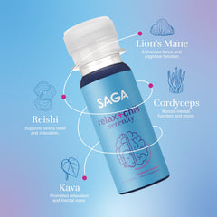 Illustration of ingredients: kava, lion's mane, reishi mushrooms