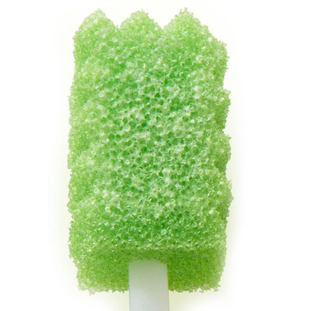 Contents of Sage Toothette suction toothbrush kit