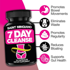 Saint Mingiano digestive system illustration highlighting cleanse concept