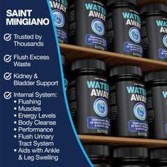 Illustration of kidneys and urinary tract support from Water Away