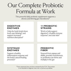 Illustration of bloating relief and smoother digestion