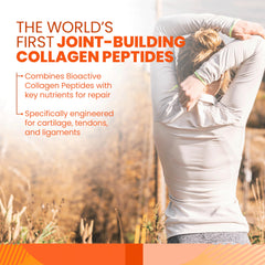 Fortigel and Tendoforte ingredients in Collagen Synthesis