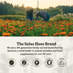 Highlights vitamin C folate magnesium and potassium