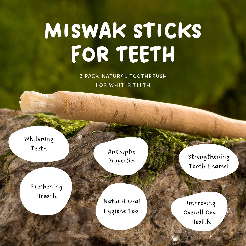 Close-up of Salvadora persica tree source for Miswak