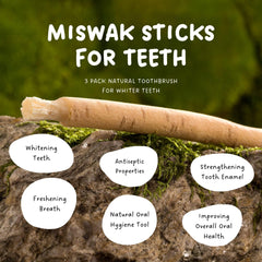 Close-up of Salvadora persica tree source for Miswak