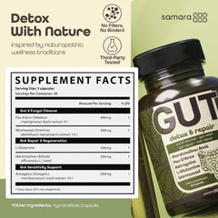 Diagram showing gut relief and digestion support concept