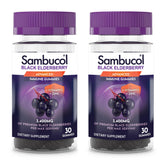 Sambucol Black Elderberry Gummies 30-count 2-pack front view
