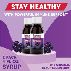 Premium Haschberg black elderberries used in Sambucol