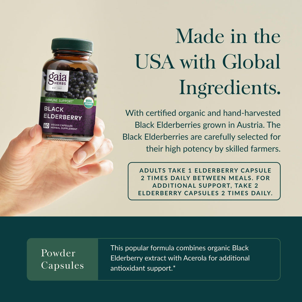 Concentrated Sambucus nigra elderberry extract