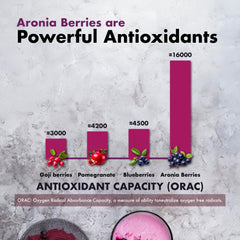 Aronia Berry powder ingredients infographic