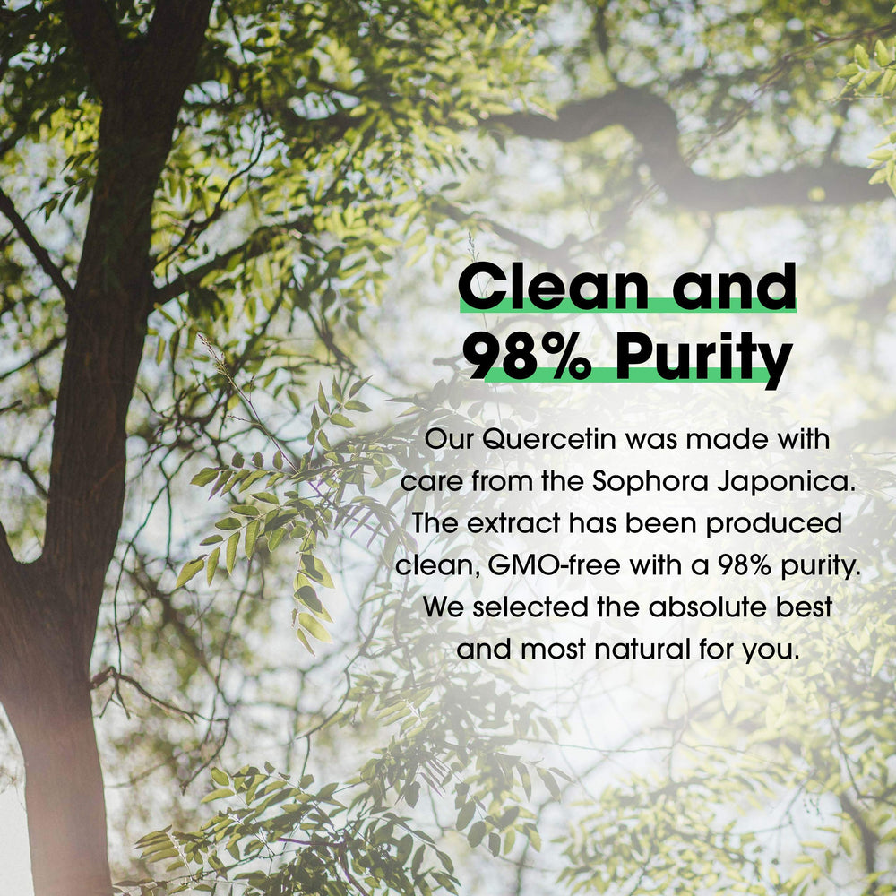 Measuring scoop with Quercetin 98%+ powder