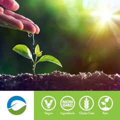 SAN Rawfusion athlete training session uses Vanilla Bean powder post-workout.