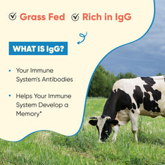 Immunity and gut health graphic