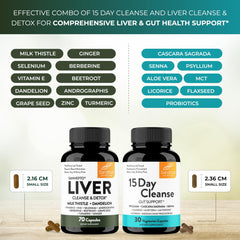 Andrographis, beetroot and other detox herbs artwork