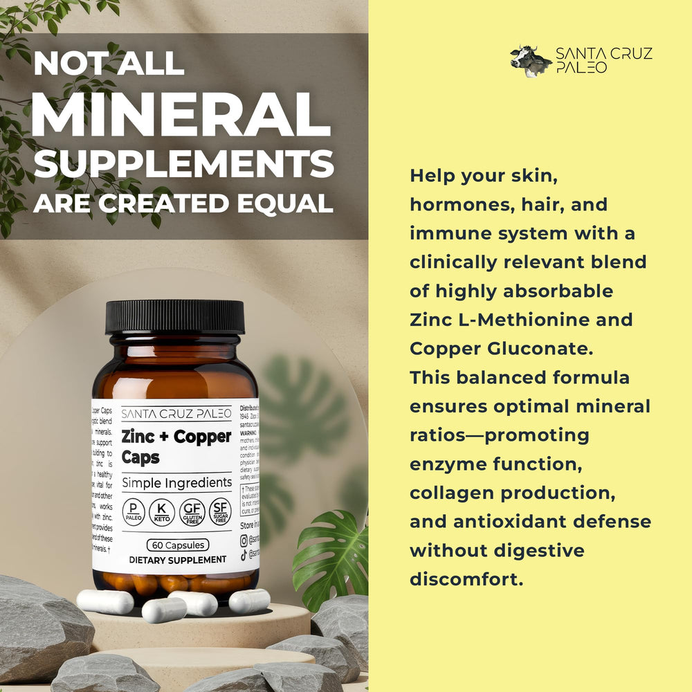 Set of Santa Cruz Paleo Zinc + Copper Caps arranged for display