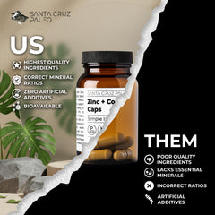 Bottom view of Santa Cruz Paleo Zinc + Copper Cap