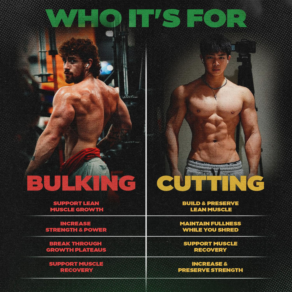 Sapogenix training-recovery workout scene shows faster recovery and stronger sessions