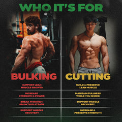 Sapogenix training-recovery workout scene shows faster recovery and stronger sessions