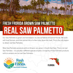 Saw Palmetto and Pumpkin Seed Oil blend illustration