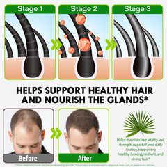 Reishi mushroom and plant-based ingredient blend