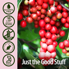 Illustration showing fatigue support with schisandra berry