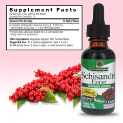 Illustration representing stress support with schisandra extract