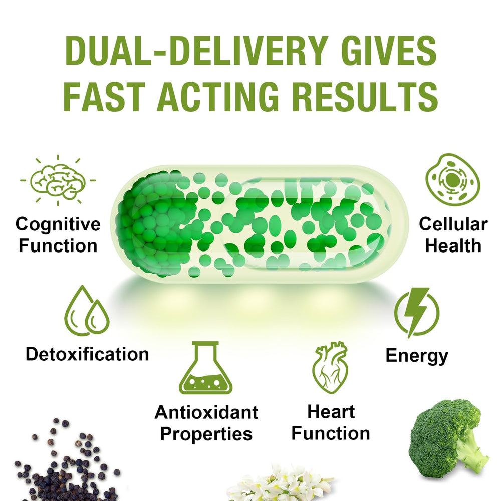 Scientific illustration of NRF2 pathway and sulforaphane absorption